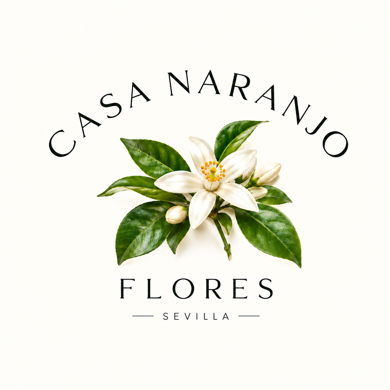 Casa Naranjo
